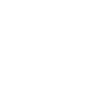 Respiratory icon